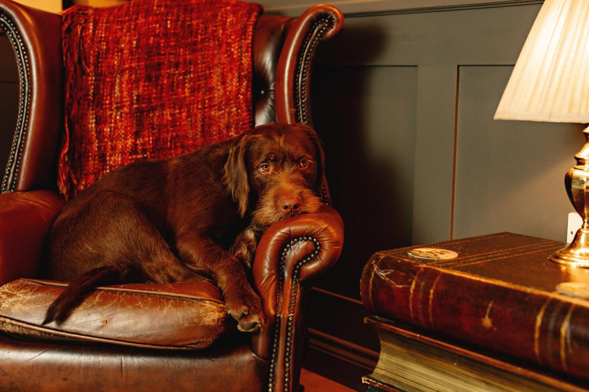 Wheatacre White Lion Hotel Burgh Saint Peter ภายนอก รูปภาพ